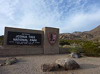 joshua tree national park (1).JPG
